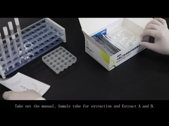 コロイダルゴールドの実験操作ガイド