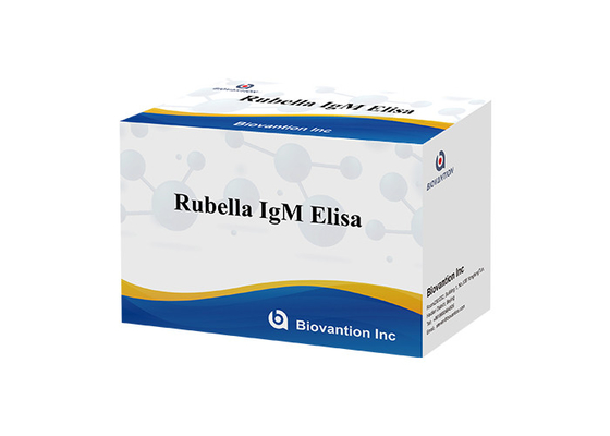 研究室または病院 高精度ルベラ Igm ELISA テストキット