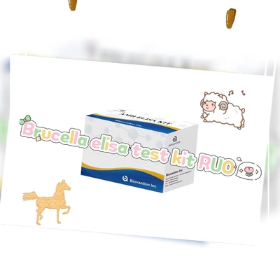 Brucella elisa テストキット RUO エリサ テストキット 酵素関連製品研究 動物実験のみ