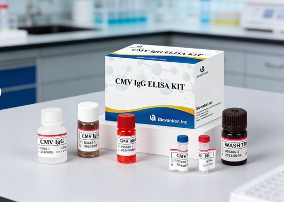 研究室または病院 高精度 CMV IgG Elisa 検査キット