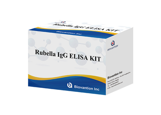 研究室または病院 高精度ルベラ IgG ELISA テストキット