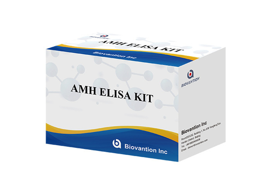 研究室または病院 高精度ヒト抗ムラーホルモンAMH ELISA