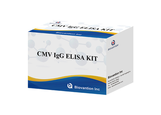 研究室または病院 高精度 CMV IgG ELISA テストキット ELISA テストキット