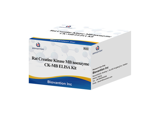 ラットのクレアチンのキナーゼMBのIsoenzyme CK-MB ELISA RUOテスト キット