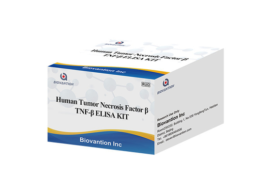 TNFB TNFSF1のLymphotoxinのアルファLTA ELISAのキットのベータ人間の腫瘍壊死要因