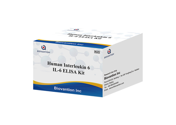 人間のInterleukin 6 RUOテスト キットのIL 6B細胞のStimulatory要因2 BSF-2 IFNB2