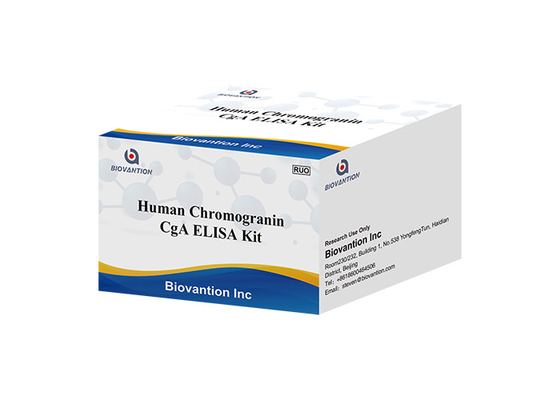 CgA ELISA RUOテスト キット人間のChromogranin Elisaのキット下垂体の分泌蛋白質私