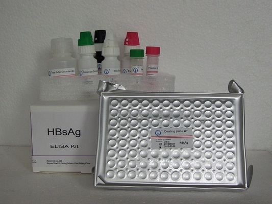 HBsAg ELISA テストキット 反応剤 酵素結合免疫吸収性検査