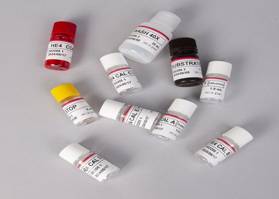 アルファフェトプロテイン AFP エリサ テスト キット