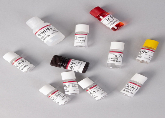 研究室または病院の抗体IGG 肝炎EウイルスHEV エリサ検査キット
