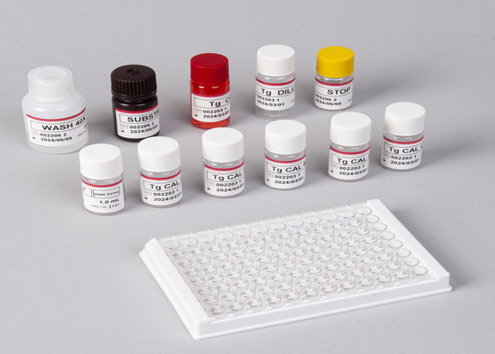 in vitro 検出 医療検出 高精度 E2 ELISA テストキット