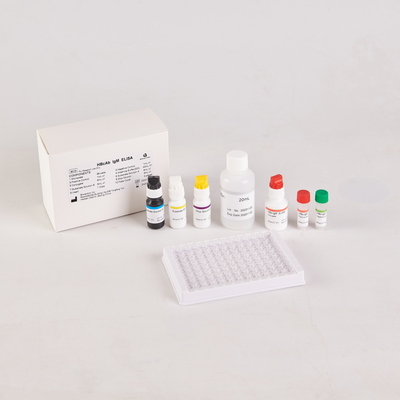 Brucella elisa テストキット RUO エリサ テストキット 酵素関連製品研究 動物実験のみ