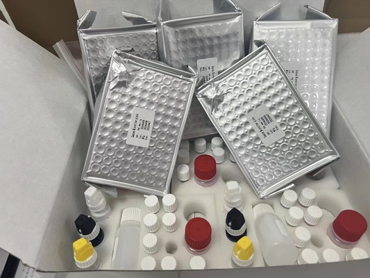11-デヒドロ-トロンボキサンB2 11dhTxB2 ELISA テストキット IVD 高精度で簡単な操作
