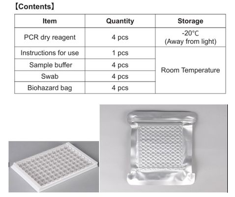 呼吸器 V肺感染症 猫 PCR 乾燥氷 一般輸送 4T/箱