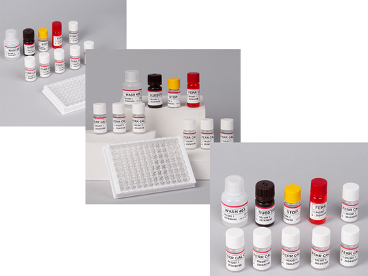 研究室または病院 高精度ヒトフェリチン FE ELISA テストキット