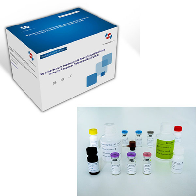 長期保存期間と 2C-8C 保存方法のIGRA ELISA 検査キット