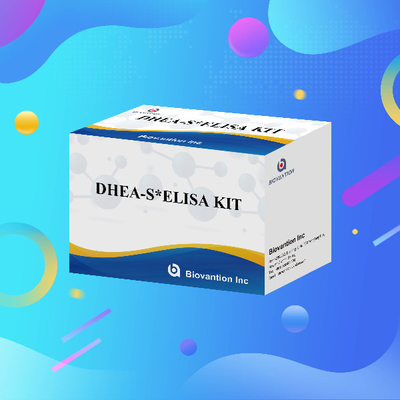 高感度 広範囲に用いられる体外診断反応体 (IVD) DHEA-S エリサ検査キット
