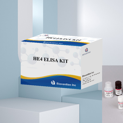 酵素関連キット 免疫検査 HE4 人体エピディジマス タンパク質 4 ELISA