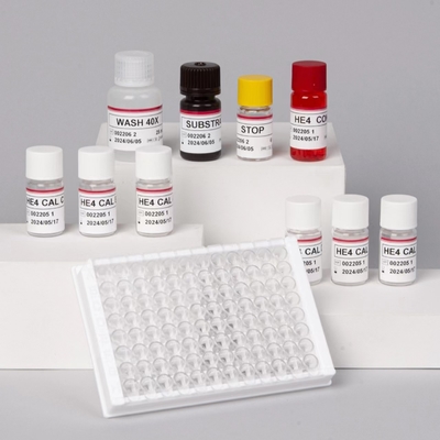 酵素関連キット 免疫検査 HE4 人体エピディジマス タンパク質 4 ELISA