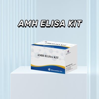 アンチミュレリアンホルモン ELISA