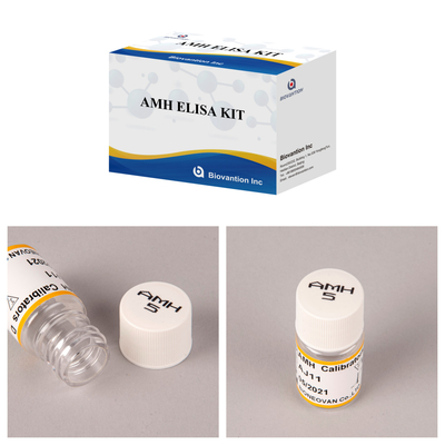 ヒト用 抗ムラーホルモン (AMH) エリサ検査キット 血液または血清検査 96T