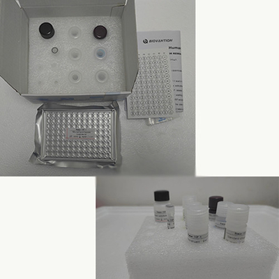 ビタミンE エリサ テストキット 酵素関連製品 研究 動物実験のみ