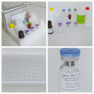 血清プラズマ TB-IGRA