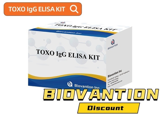 TOXO Ig G 病のモニタリングのための敏感で特異的なELISAテストキット