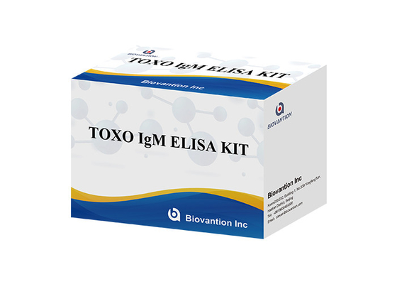 TOXO Ig G 病のモニタリングのための敏感で特異的なELISAテストキット