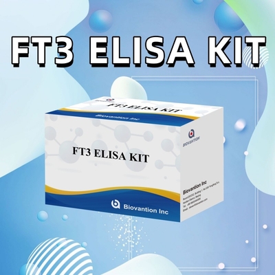 FT3 フリートリオドチロニン 臨床病院ラボ用 96T ELISA 検査付きの人間の診断用反応剤キット