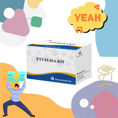 FT3 フリートリオドチロニン 臨床病院ラボ用 96T ELISA 検査付きの人間の診断用反応剤キット