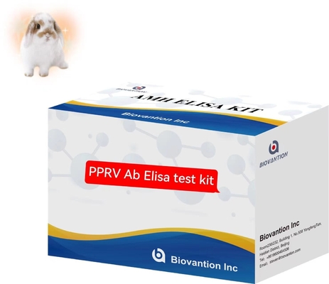 Peste Des Petits Ruminants PPRV Ab ELISA キット 獣医学試験キット
