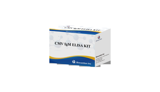 CMV IgM ELISA キット 高精度 妊婦 予防検査