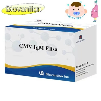 CMV IgM ELISA キット 高精度 妊婦 予防検査