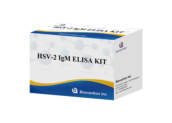 HSV 2 IgM トーチ ELISA テストキット 高精度 使用説明書