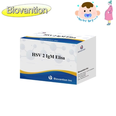HSV 2 IgM トーチ ELISA テストキット 高精度 使用説明書