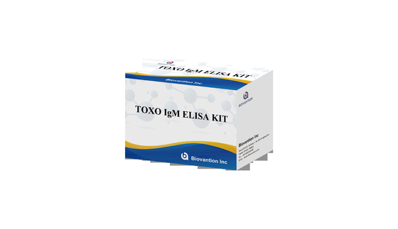 TOXO IgM ELISA テストキット トーチ 高感度病院検査 妊娠検査
