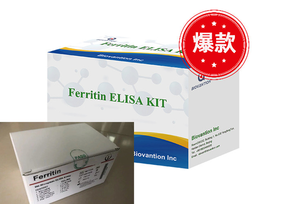 フェリチン エリサ テスト キット 酵素関連製品 輸送時間短