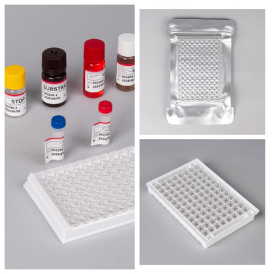 HIV Ab Ag Elisa 検査キット 保存期間 18 ヶ月 高度な敏感性/特異性
