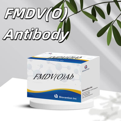 牛の足足症と月病 ウイルス O 抗体速速検査キット FMD FMDV 破壊的な家畜病の検出
