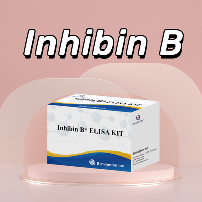 96T のヒト診断のための Biovantion Inhibin B Elisa テストキット
