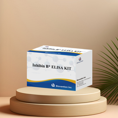 96T のヒト診断のための Biovantion Inhibin B Elisa テストキット