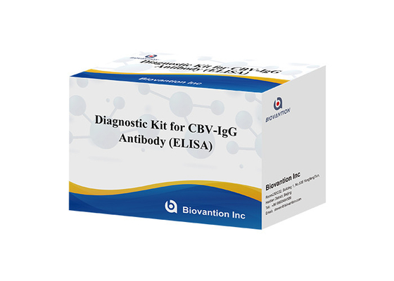 CBV-IgG抗体の診断キット ELISAテストキット 血清検査キット