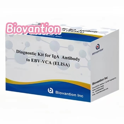 高感度EBV VCA IgA ELISAキット 50μl血清サンプルを用いた医療診断