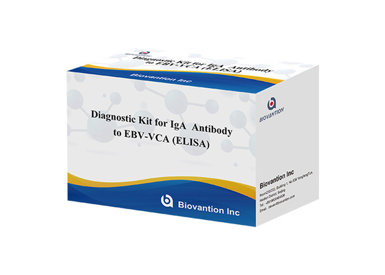 高感度EBV VCA IgA ELISAキット 50μl血清サンプルを用いた医療診断