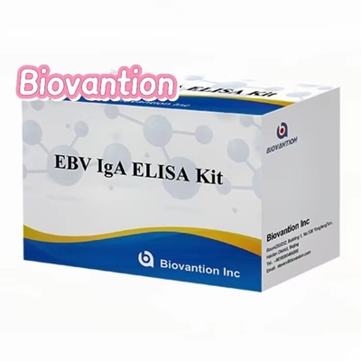EBNA1へのIgA抗体 エリサ検査キット 血清50μL 試料キット形式