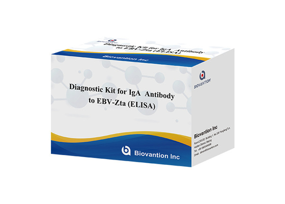 EBV-Zta ELISA 検査キットに対する IgA 抗体診断キット