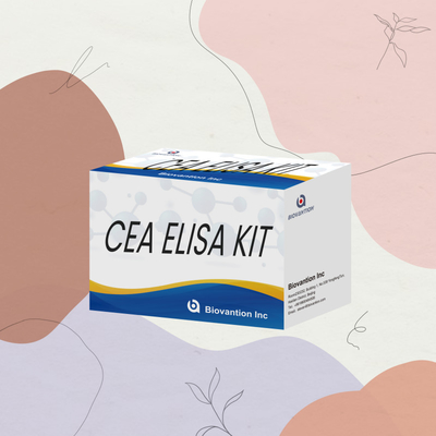 CE 承認 人間用 CEA 定量 Elisa テスト キット 血液または血清 96T