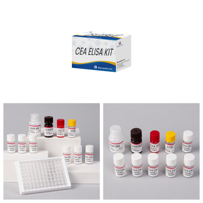 CE 承認 人間用 CEA 定量 Elisa テスト キット 血液または血清 96T