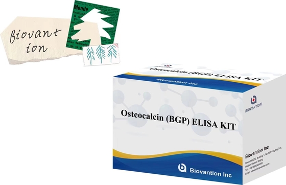 オステオカルシン BGP 診断 ELISA キット 迅速な感染症検出